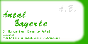 antal bayerle business card